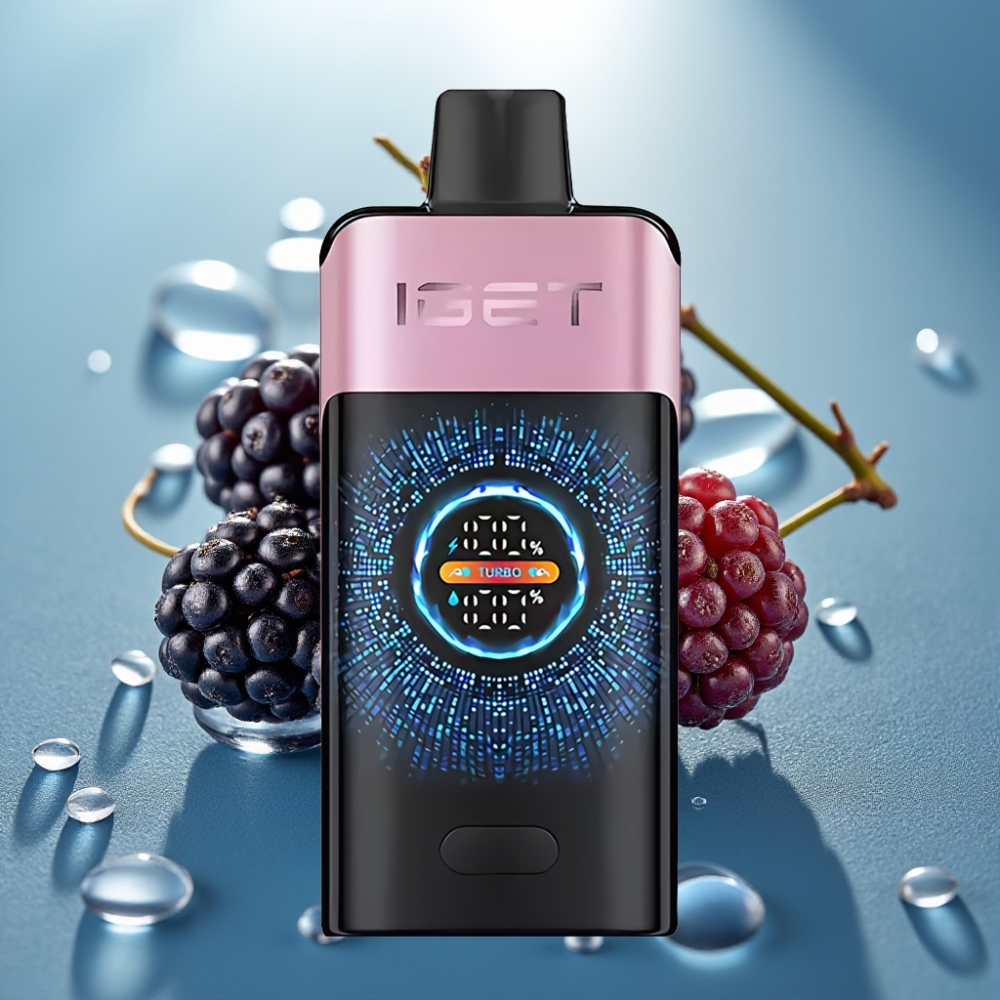 IGET ONE 12000 Puffs Vape Descartável Blackberry Ice - 2700mAh 06ohm