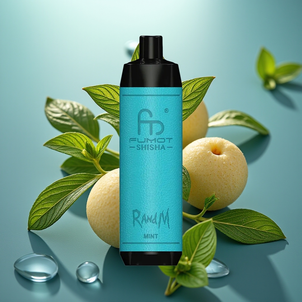 RandM Fumot Shisha 10000 Puffs Vape Descartável Menta 18ml 05 Nic