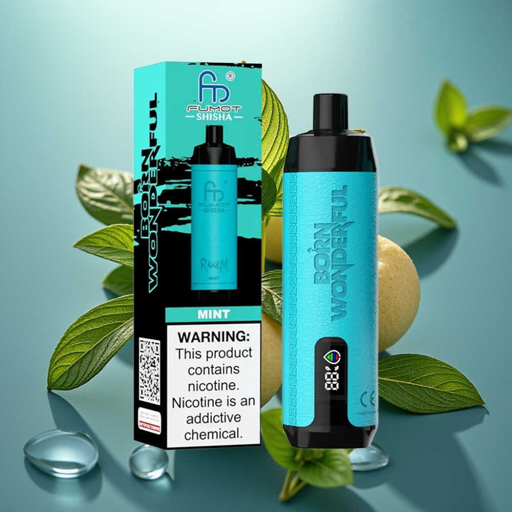 RandM Fumot Shisha 10000 Puffs Vape Descartável Menta 18ml 05 Nic